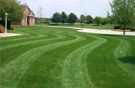 Central Virginia Lawn Care Service Since 1990